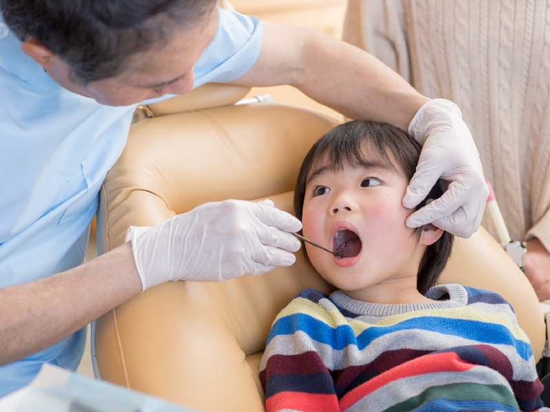 予防歯科について